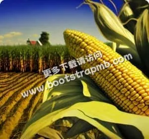 黑白體育，為全球體育迷服務 - 黑白体育
